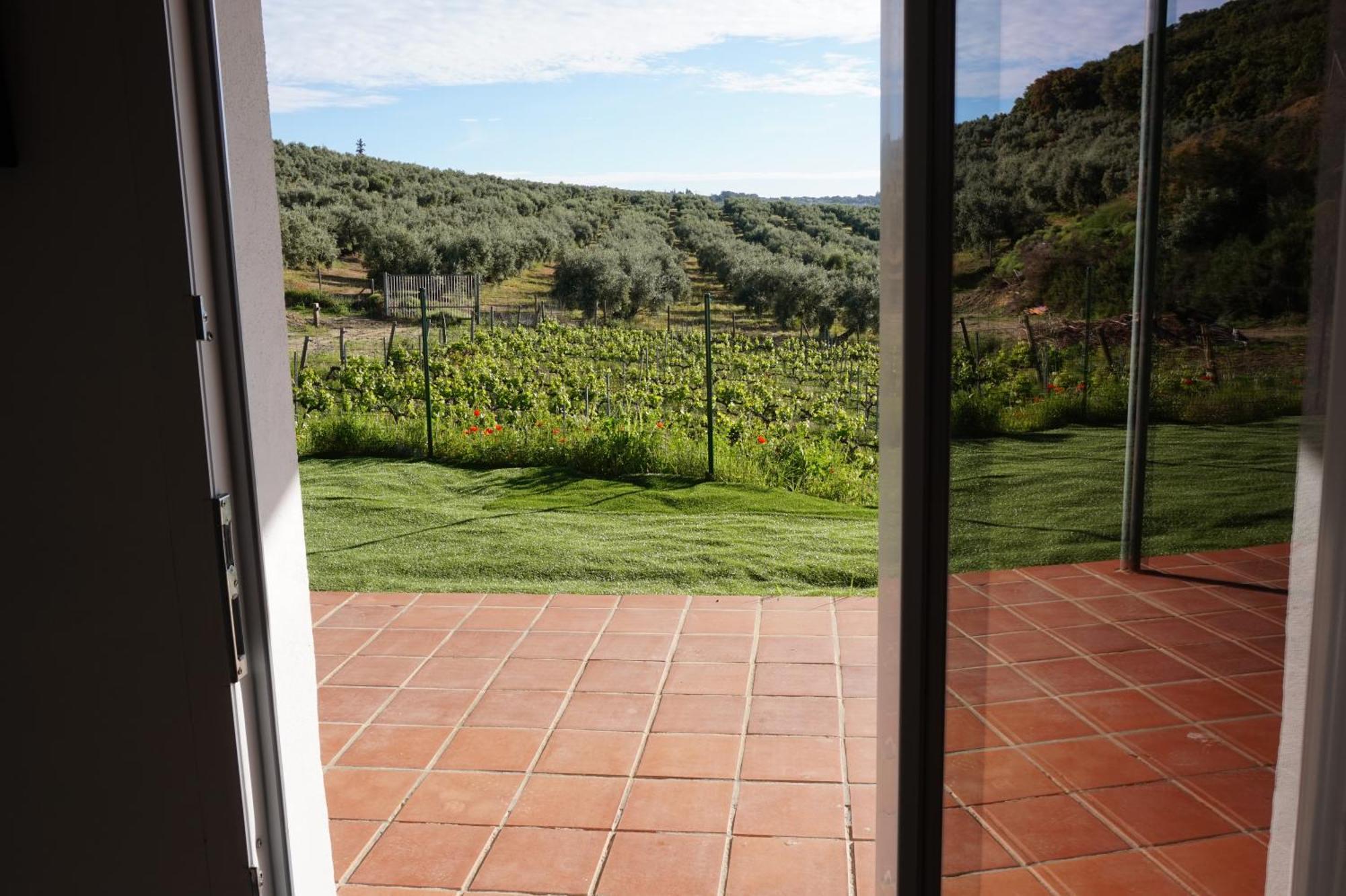 Ferienwohnung Bodegas Morosanto La Cimada Exterior foto